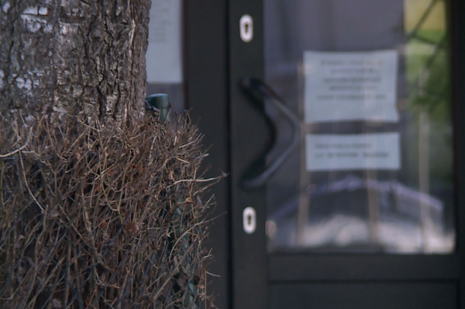 „Martwe dusze” warte blisko 900 tys. zł (WIDEO)