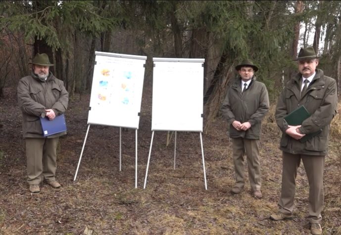 Wytną setki, nasadzą tysiące