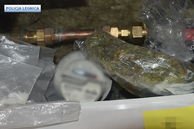Ukrywali narkotyki w domu