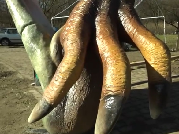 Jaki olbrzym wylądował w Parku Wrocławskim?