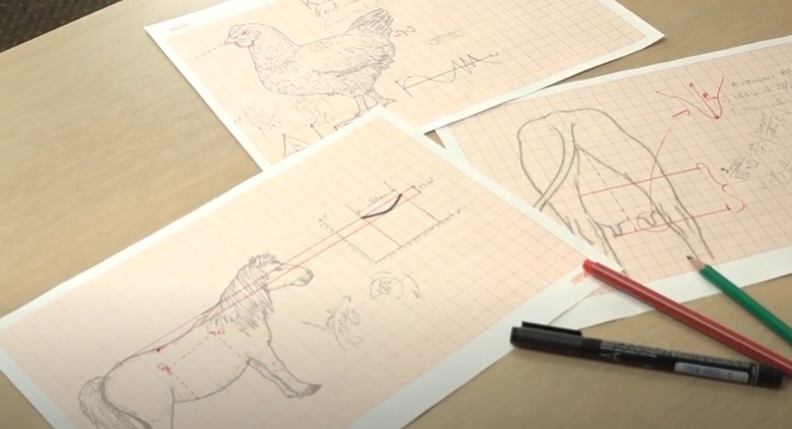 Skarpetki dla kur, a dla kozy czapka