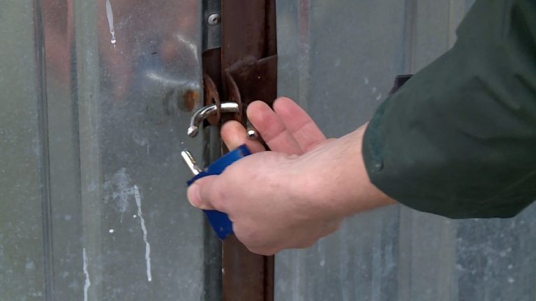 Krokus w tarapatach… Złodziej ukradł piłki (WIDEO)