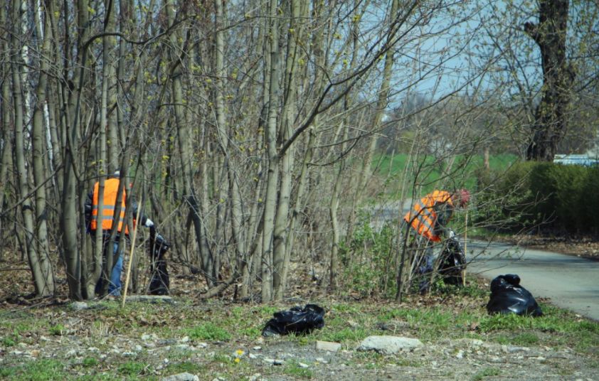 Bezrobotni sprzątają miasto