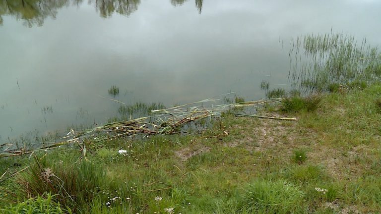 Jezierzany wrócą do łask? (WIDEO)