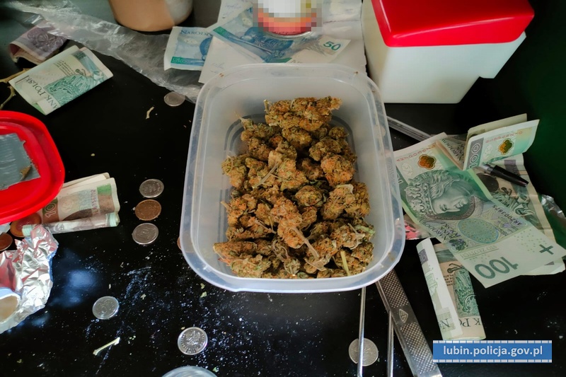 Diler wpadł w ręce kryminalnych