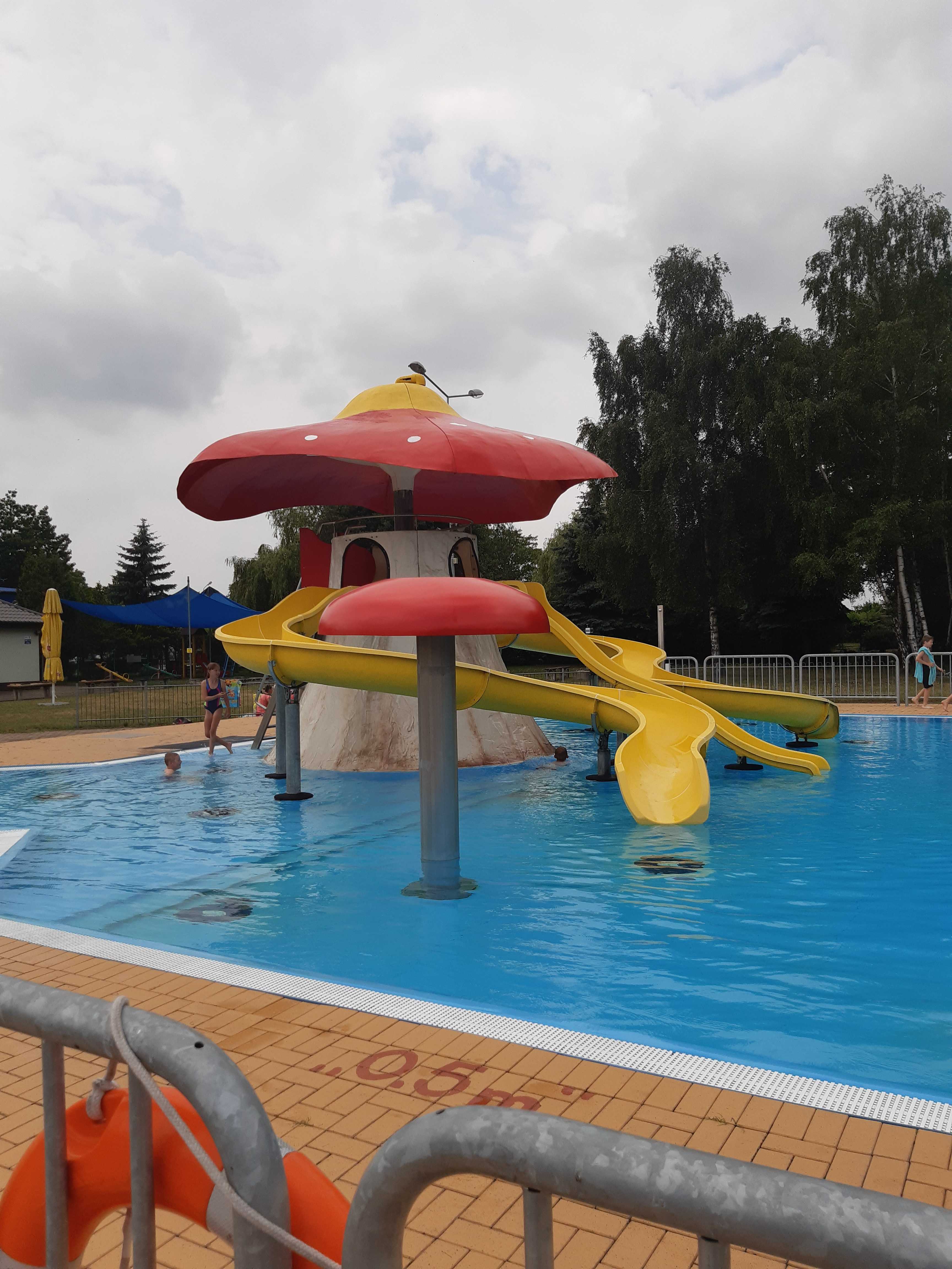 „Grzybek już otwarty