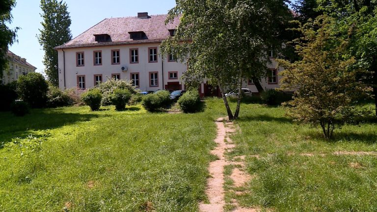 Legniczanie bronią zieleni (WIDEO)