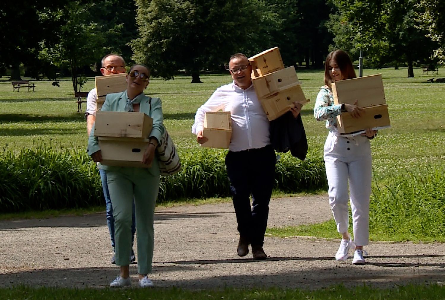 Legnica wspiera „pogromców komarów” (WIDEO)