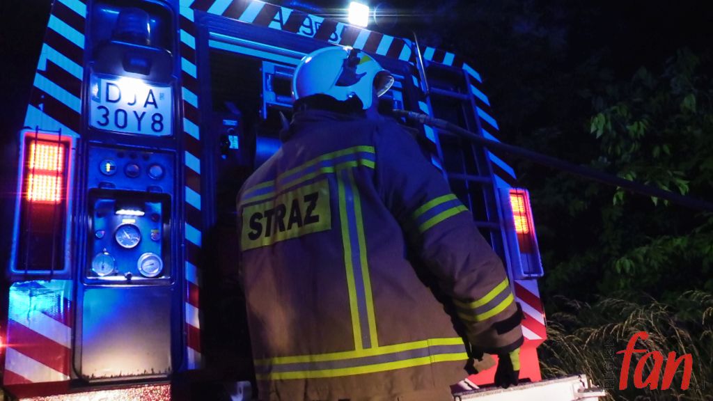 Pożar lasu pod Małuszowem (WIDEO)