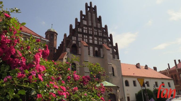 JAWOR: Lato w mieście – Muzeum zaprasza (WIDEO)