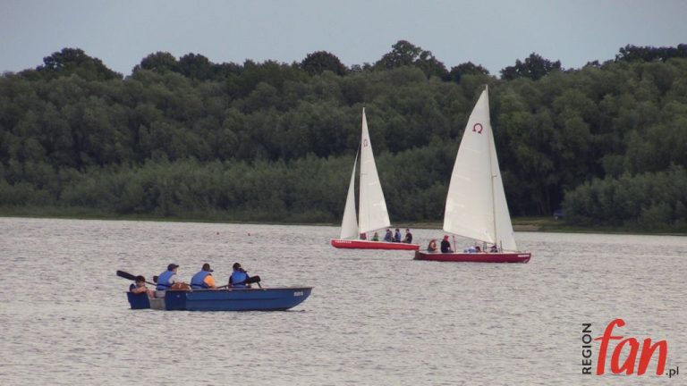 Wakacje młodych wilków (FOTO, WIDEO)