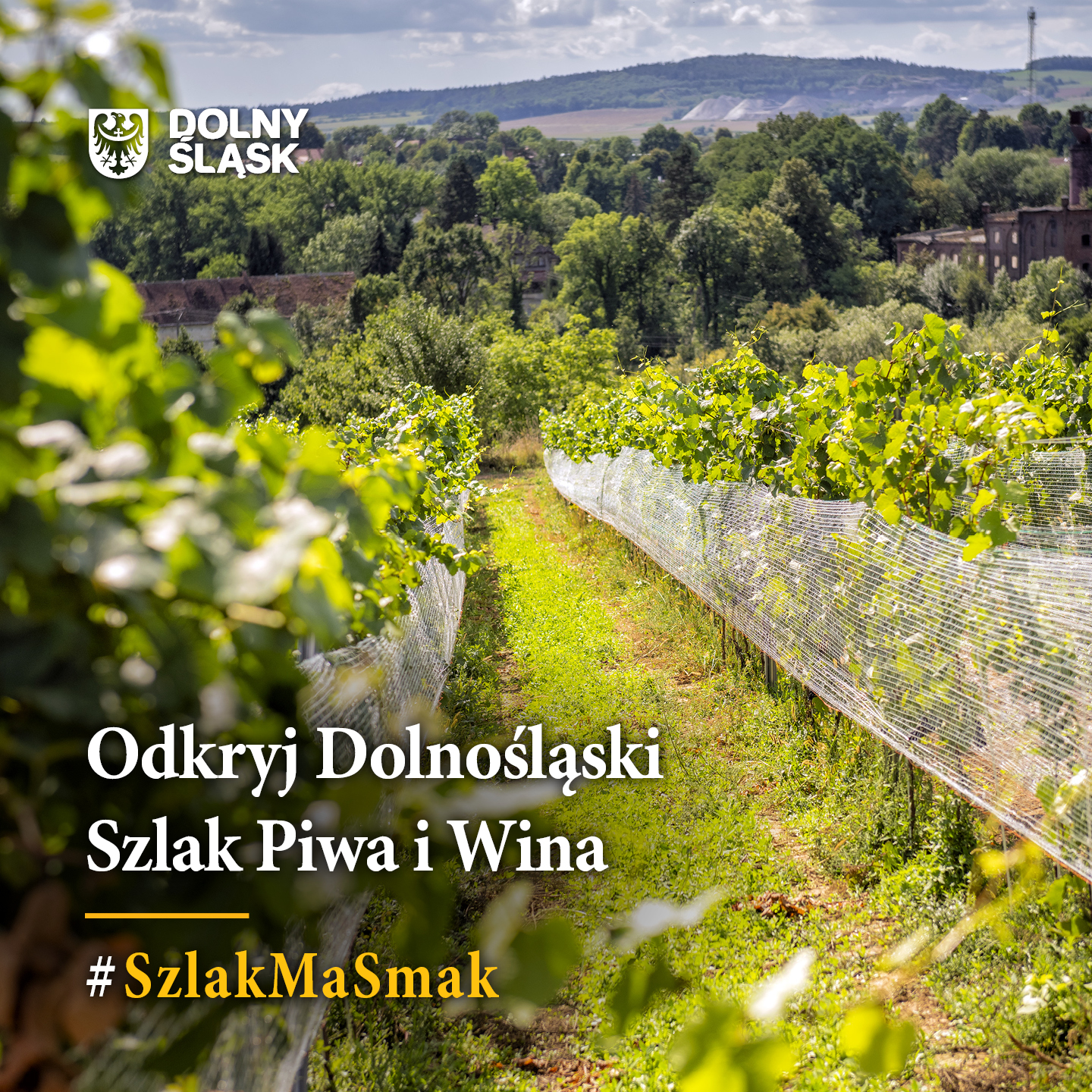 Rusza dolnosląska kampania #SmakMaSmak!