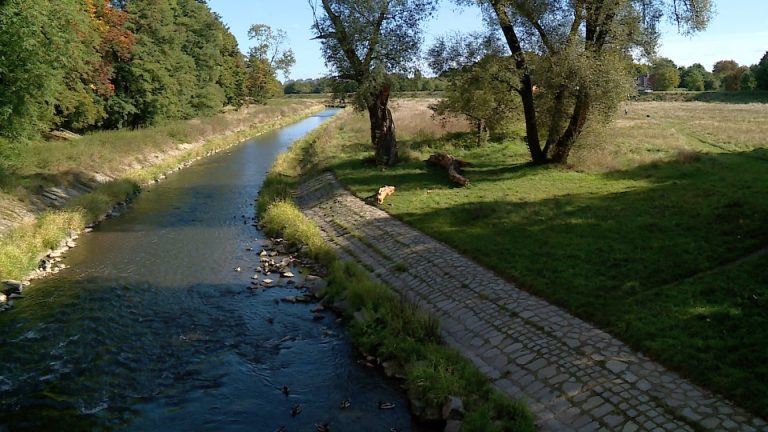 Plaża w parku Miejskim? (WIDEO)