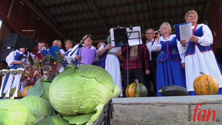 Kapusta w roli głównej (FOTO, WIDEO)
