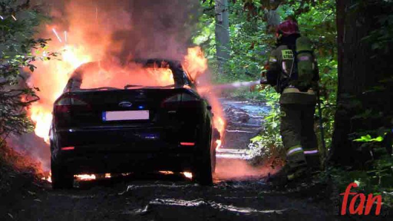 Ford w ogniu w środku lasu (FOTO, WIDEO)