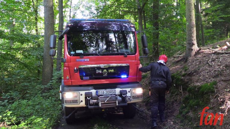 Plaga pożarów wróciła