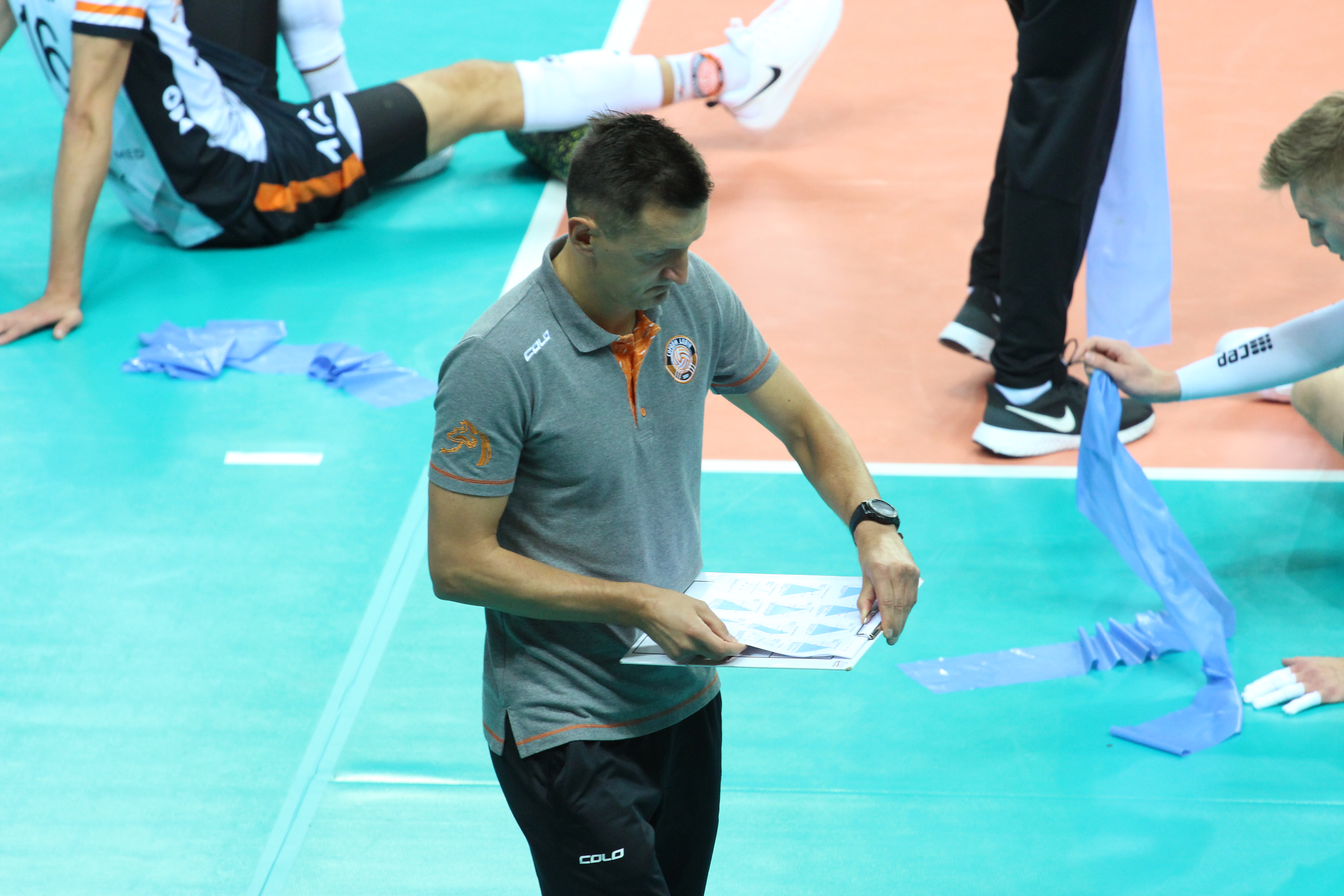 Lisy nie przechytrzyły gdańszczan