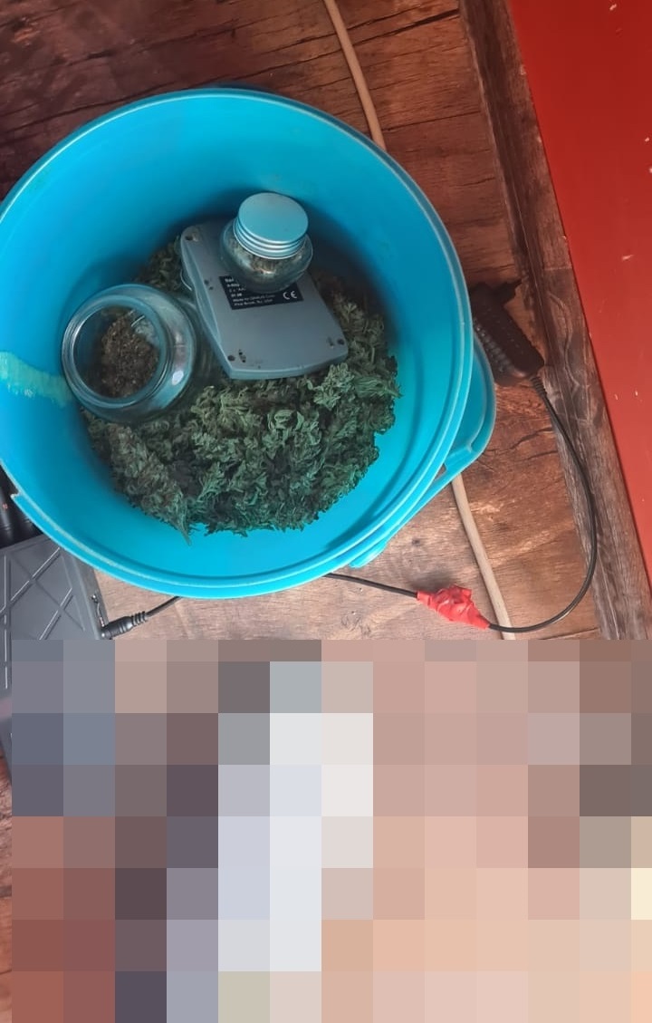 W domu uprawiał marihuanę