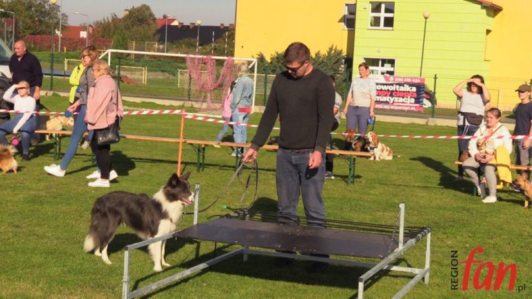 Jak dogadać się z psem? (FOTO, WIDEO)