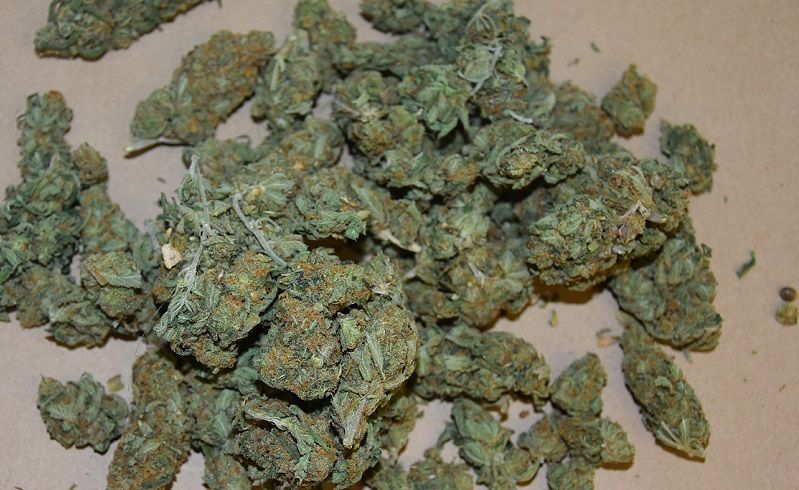 Wesołe życie seniora… (WIDEO)