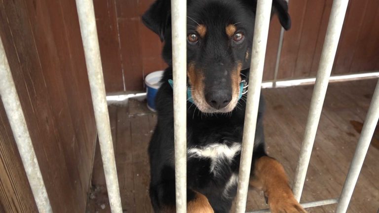 Spędź Sylwestra w Amicusie