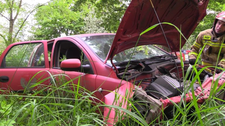 Dachowanie w Bolkowie (FOTO)
