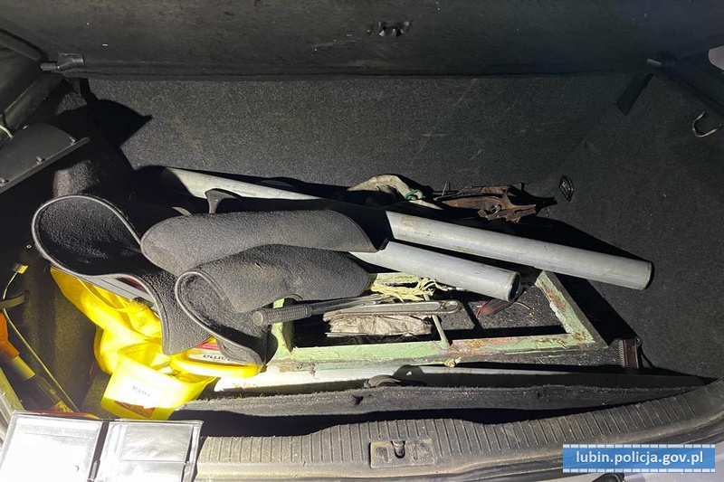 Miała zbierać paprotki, a wycinała znaki drogowe