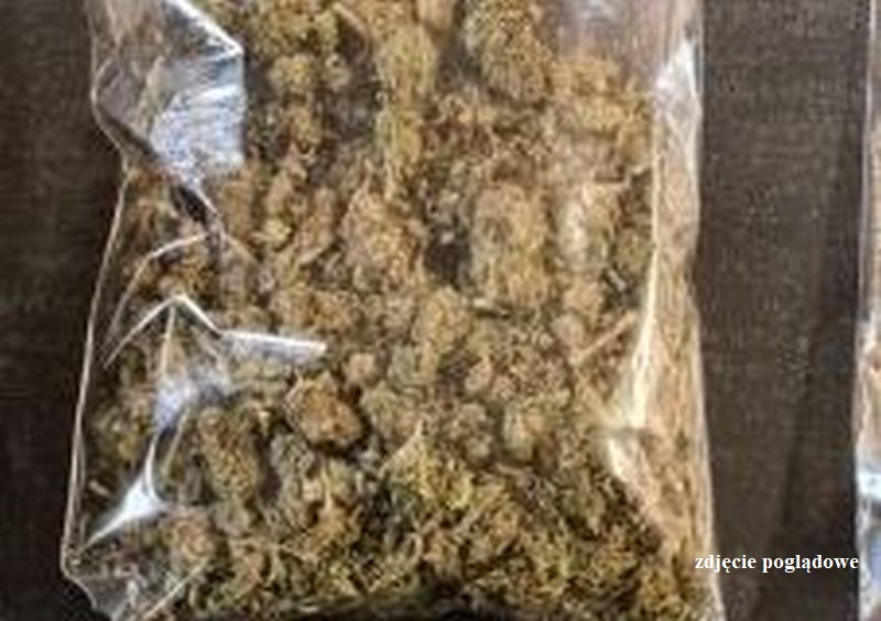 Podczas kontroli znaleźli narkotyki