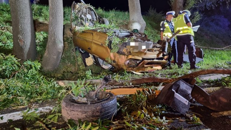 Dwóch 18-latków wypadło z drogi