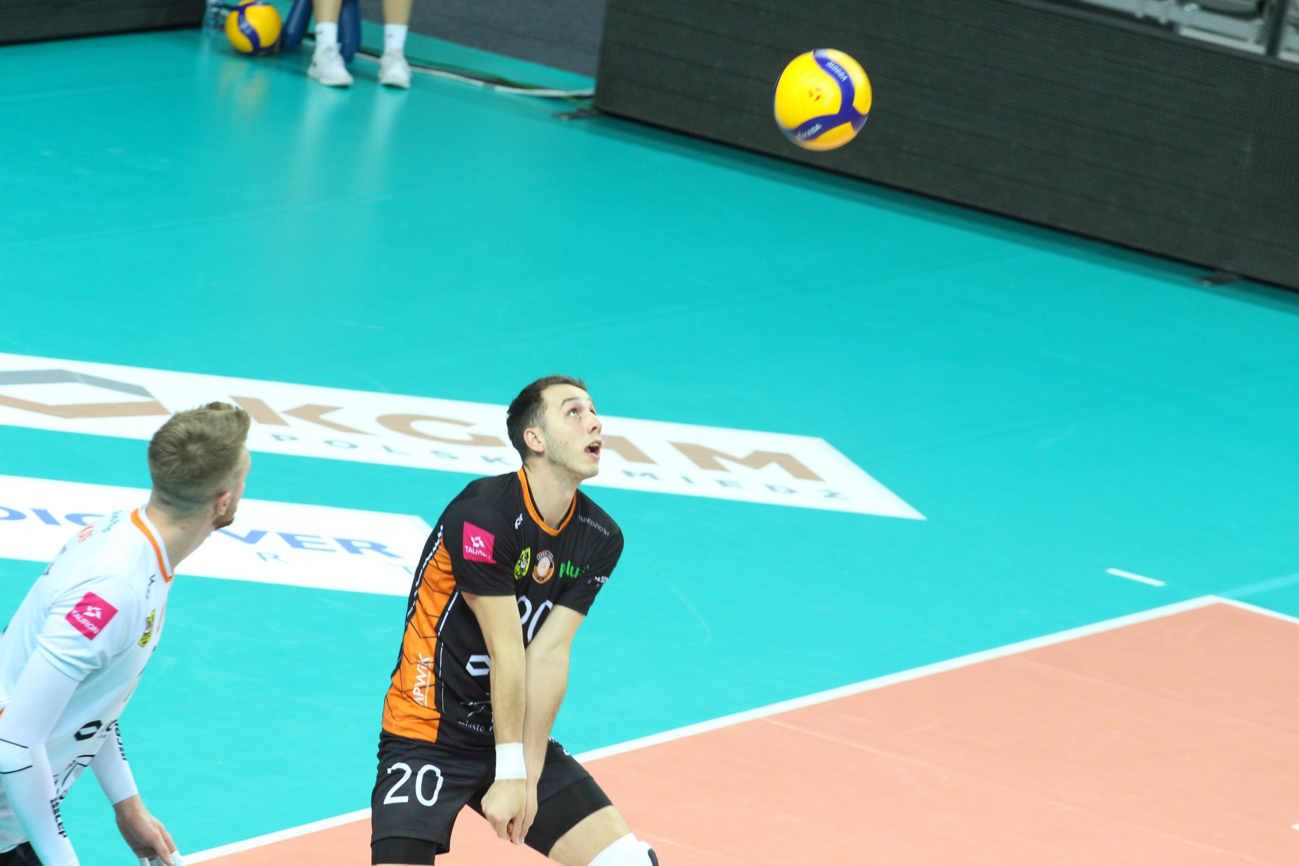 Lisy bez punktów z Suwałk