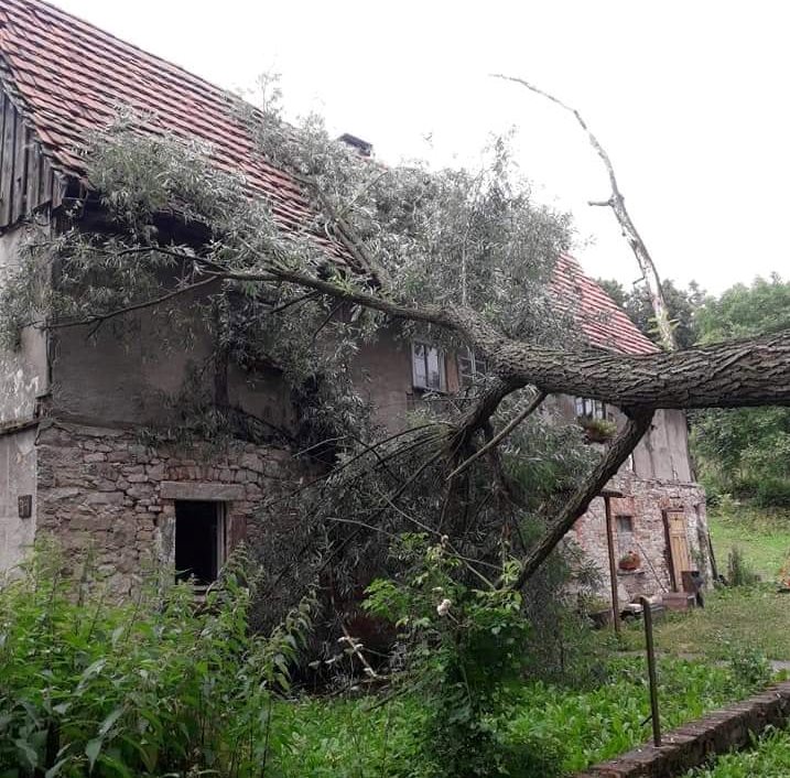 Drzewo runęło na dom (FOTO)
