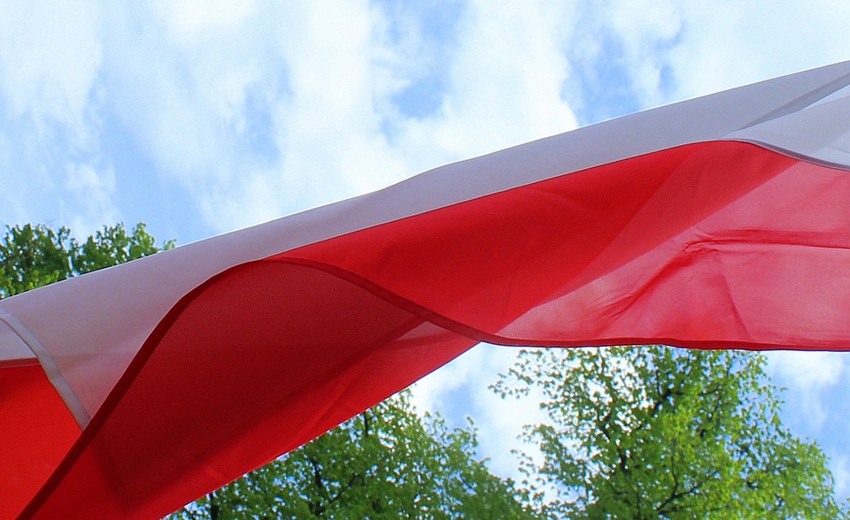 Bezpłatne flagi i sadzonki dla mieszkańców gminy Grębocice