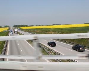 IMG_4842