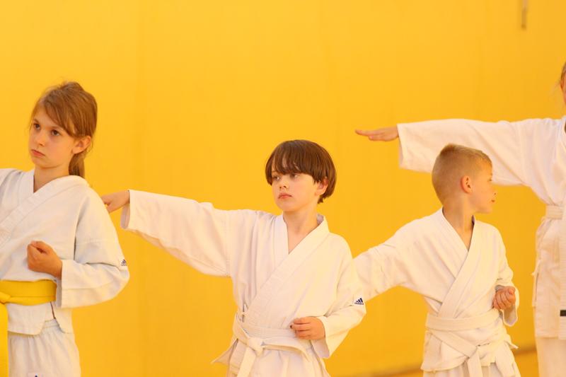 Karatecy goju ryu zapraszają w swoje szeregi