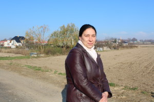 KURYS_WIATRAKI