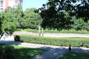 PLAC_SAPER1
