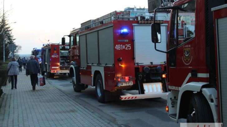 Strażacy będą walczyć z pożarami w Grecji