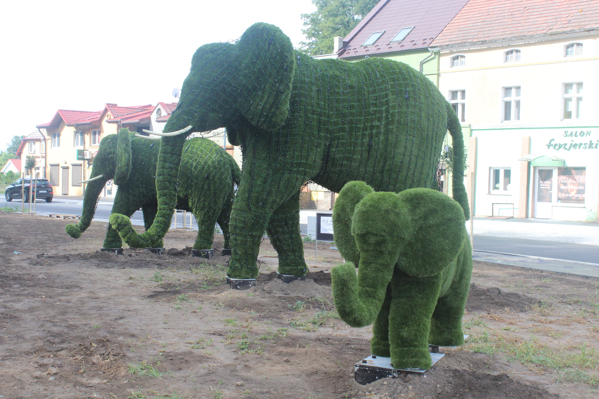 Trzy zielone słonie w Radwanicach. Na szczęście (WIDEO, FOTO)