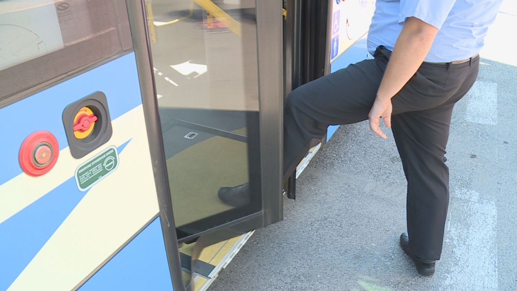 LEGNICA. Uderzony drzwiami autobusu? (WIDEO)