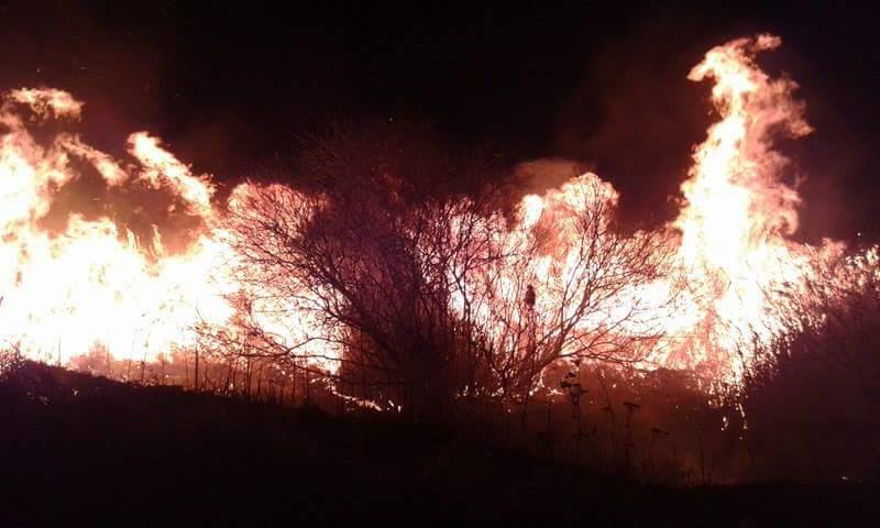 PRZEMKÓW. Spłonęło 100 ha traw i trzcin (AKTUALIZACJA)