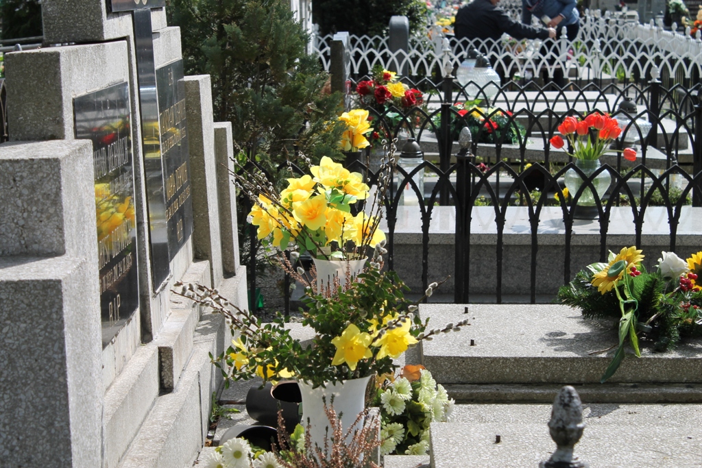 Cmentarz tonie w żółtych kwiatach (FOTO)