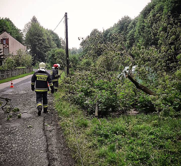 Powalone drzewo zerwało linię telefoniczną (FOTO)