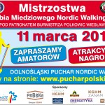 plakat_A2_NORDIC_2017_poziom