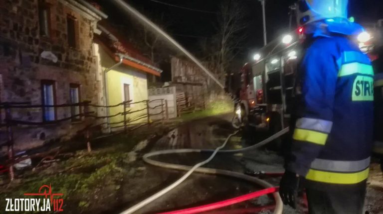 Pożar domu w Leszczynie. Nie wykluczają podpalenia