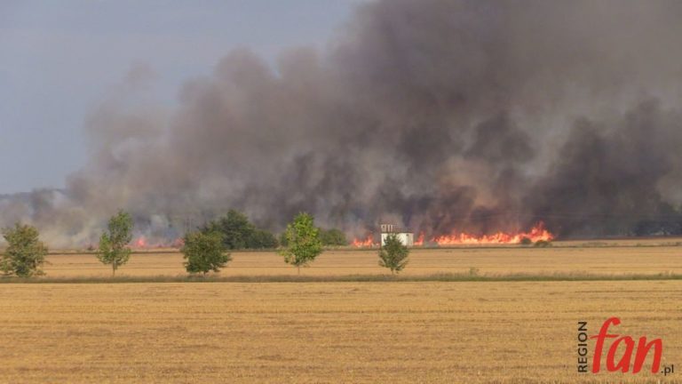 Spłonęło 12 hektarów zboża (FOTO, WIDEO)
