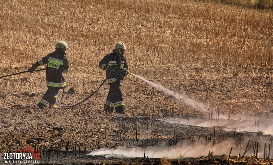 Gorący czas dla strażaków. Pożary wybuchają codziennie (FOTO)