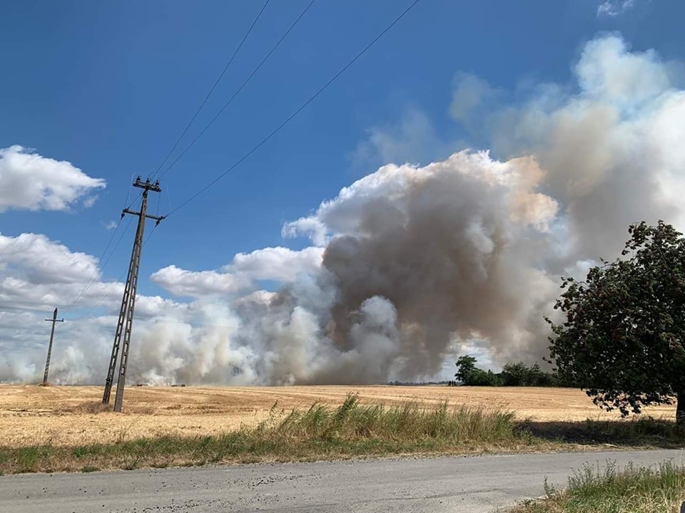 Ogromny pożar w Olszanicy. Strażacy uratowali 90 hektarów zboża
