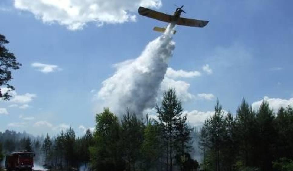 Pożar gasili strażacy z dwóch powiatów oraz samolot