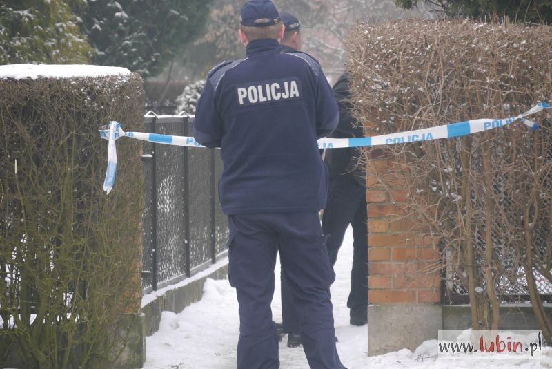 Policja: w Lubinie nie ma żadnej wojny gangów (WIDEO)