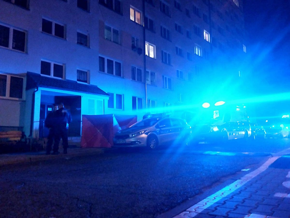 Tragedia w Polkowicach. Mężczyzna wypadł z okna wieżowca (WIDEO, FOTO)